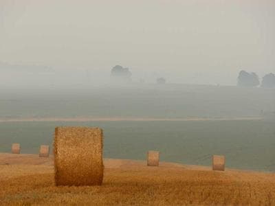 Ghana landscape